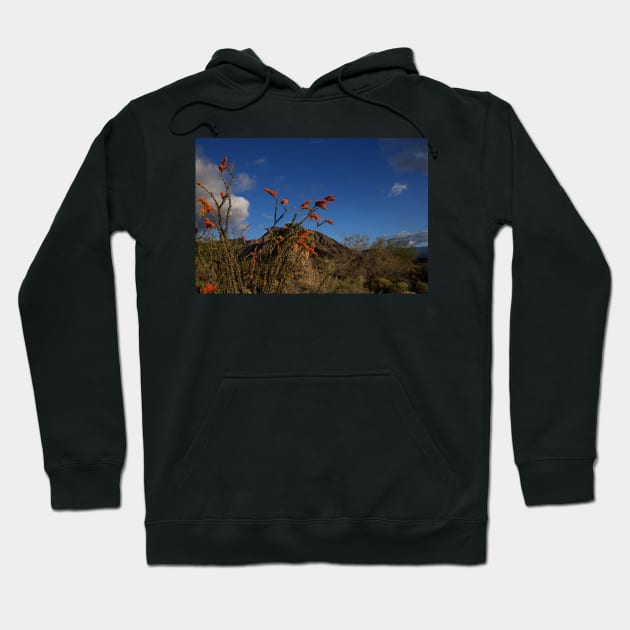 WGC_2369 Hoodie by wgcosby